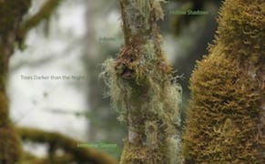 An Artistic but Unsubtle Contemplatation of Environmental Degradation