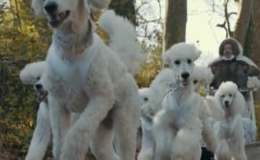 Mel Chin Crowdfunds a Film About Climate Change, Featuring an Inuit Hunter and Poodles