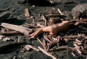 The Disconcerting Beauty of an Artist's Nude Self-Portraits