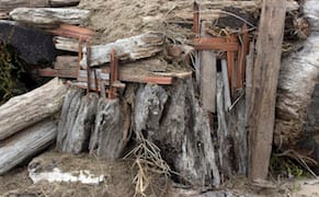 Cameras Built into Deserts, Mountains, and Forests