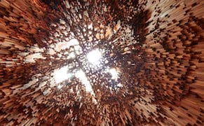 A Sculptural Forest Made from 10,000 Species of Trees