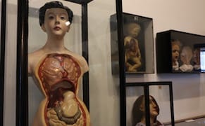 The Challenges of Showing the Artifacts of an Early European Wax Museum Today