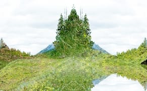 Apply for Creative Residencies in Visual and Digital Arts at the Banff Centre