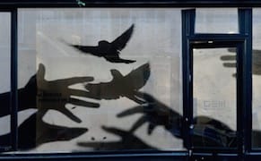 Art That Takes Flight Toward a Higher Consciousness