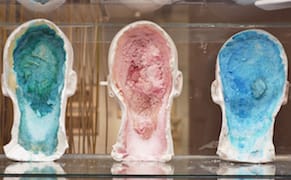 From the Archive to the Internet, an Artist Collects and Connects Disparate Images