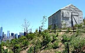 Rachel Whiteread's Concrete Cabin Awaits Discovery in the Governors Island Hills