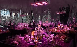 On One Block in Chelsea, Three Monumental Installations Empower and Overpower