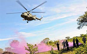 What Central Africa's War on Poaching Can Teach Us About Fighting the Plunder of Antiquities