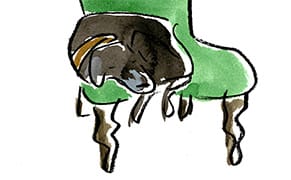 My Favorite Art Critic