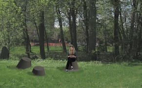 Montrealers Stumped After City Commissions Pricey Tree Sculptures