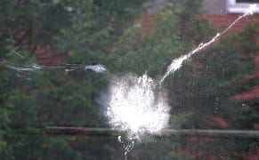 Designing Less Dangerous Architecture for New York's Birds