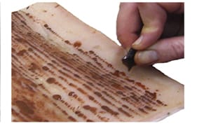 Ancient Obsidian Tools Were Used for Tattooing, Archaeologists Find