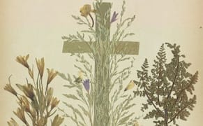 Victorian Scrapbooks of Flowers from the Holy Land