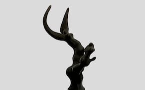 Is It Possible to See What Is There?