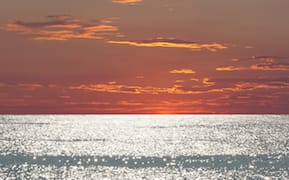 Qalandiya International Returns with Over 100 Artists Exploring Questions of Refuge