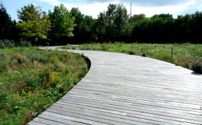 An Overgrown Naval Cemetery Is Reborn as a Park