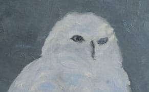 Roger Ricco, Artist, Has Something to Show You