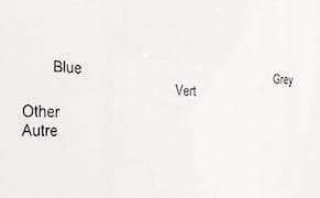 Using Official Forms and Documents to Unpack the Migration Experience