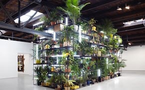 A Weighty Rashid Johnson Show that Doesn't Take Off