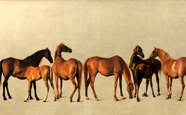 A Ranking of George Stubbs's Greatest Racehorses
