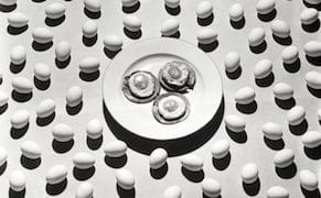 Trying Famous Photographers’ Recipes, from Avedon’s Pot Roast to Adams’s Eggs