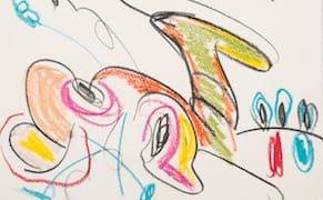 Knowledge About a Thing: Carroll Dunham's Drawings