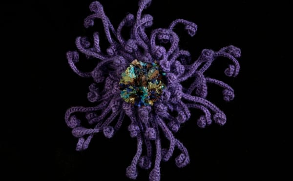 A 10-Year Project to Crochet Our Dying Coral Reefs