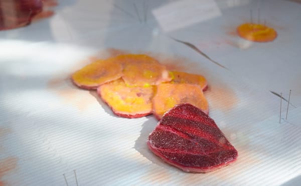 Doreen Garner, "Flora: Viscera" (2016, detail)