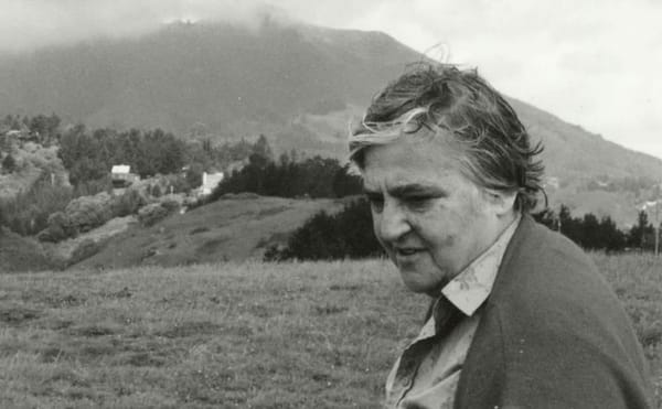 Etel Adnan: Philosophy at Night