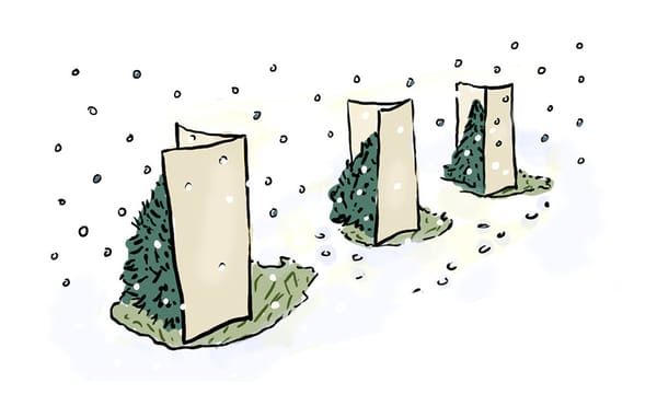 Highlights of My Life as an MFA Student in Vermont