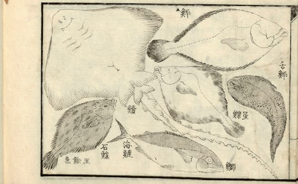 Hokusai's Picture Book of Everyday Life in Edo-Era Japan