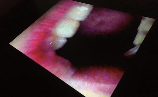 The Extravagant Intimacy of Pipilotti Rist