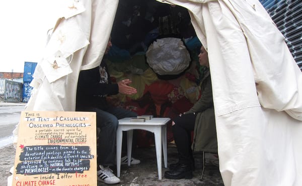 How a Tarot Reading Helped Me Talk About Climate Change