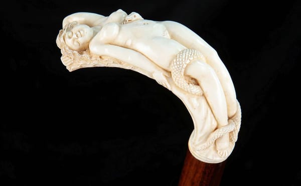 This Is Your Chance to Become a Rabid Rabologist