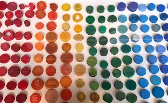 One Poem by Candace Williams