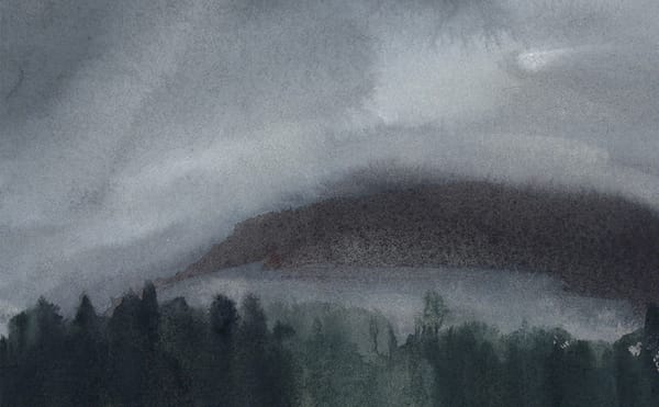 Post-Election Weather Report