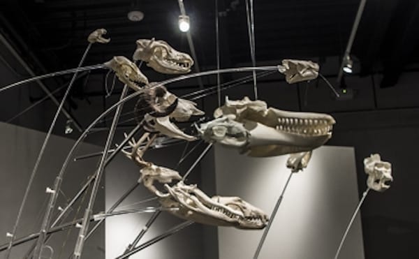 Call for Applications: Roman J. Witt Residency at University of Michigan