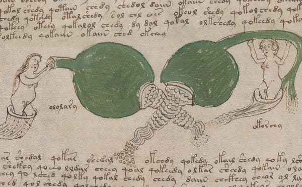 Facsimile of the Voynich Manuscript Now Available to Citizen Cryptographers