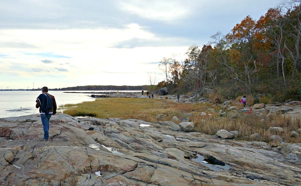 An Artist's Guide to Wandering the Overlooked Edges of New York City