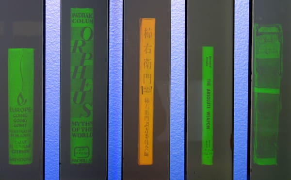 A Library Haunted by Hologram Books