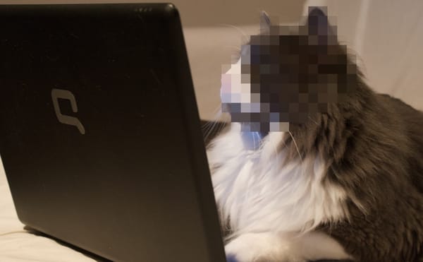 How to Become Anonymous Online