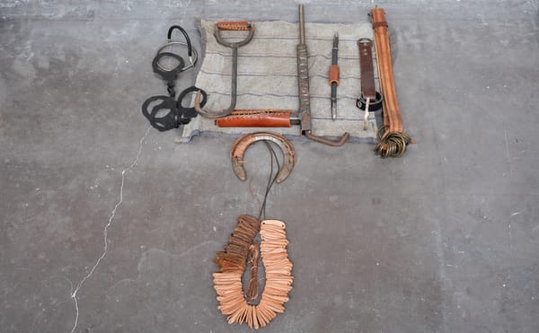 Hybrid Objects for a Binary World