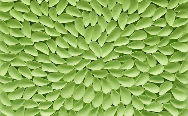 A Memorial Exhibition for Tony Feher, Who Found Art in the Unexpected