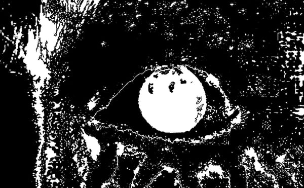 Love It to Death: My Year in Music