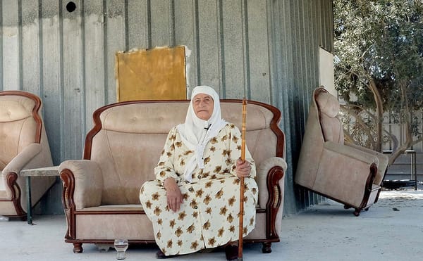 A Palestinian Artist Records 17 Versions of a Family Story