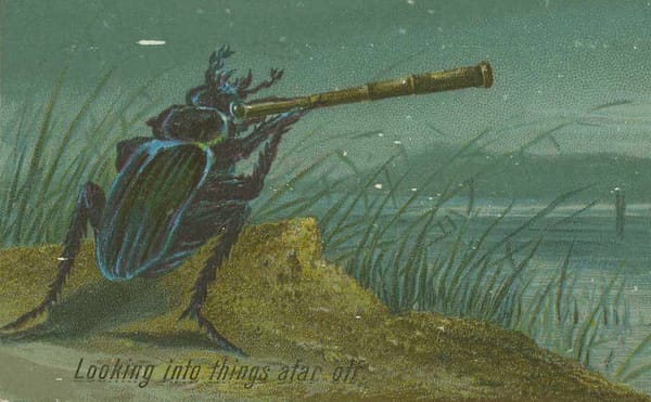 Celebrate New Year's with Vintage Cards of Lucky Pigs and Drunken Butterflies