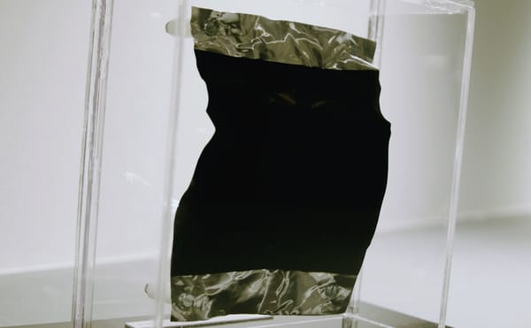 Harvard Adds the Blackest Black to Its Historical Pigment Collection