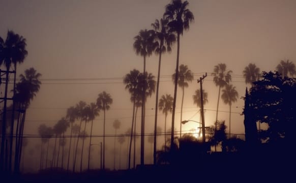 Confronting the Limits of Catharsis in a Video About Black American Life