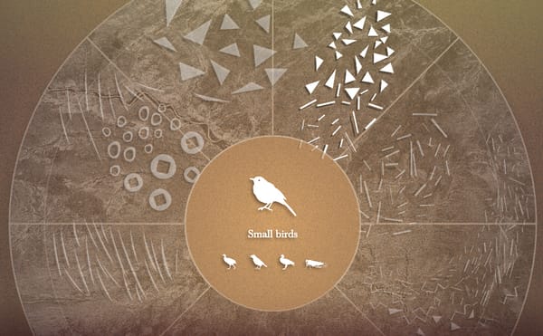 An Interactive Journey Through Endangered Natural Soundscapes