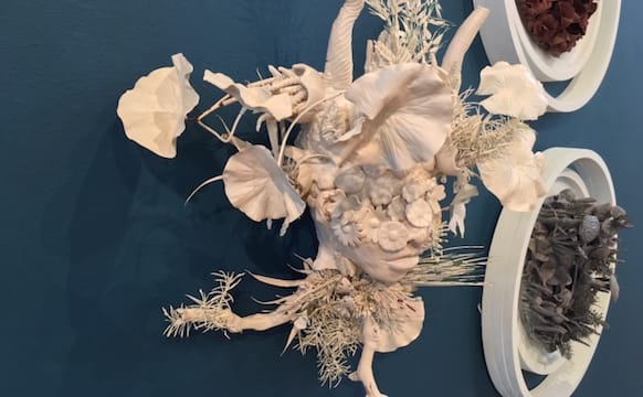 Caribbean Artists Mine Their Immigrant Identities